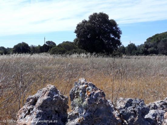 Se Vende en Santanyí - BALEARES