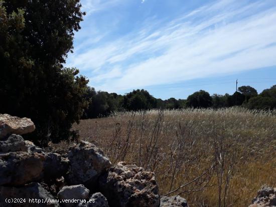 Se Vende en Santanyí - BALEARES