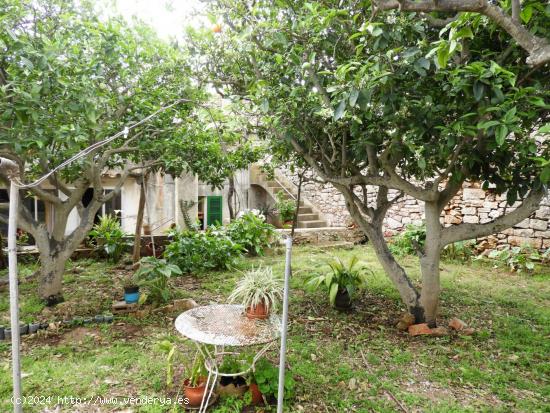  Casa de pueblo en las afueras de S'Horta Felanitx - BALEARES 