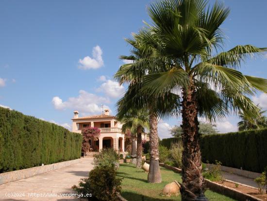 Finca con casa de campo y piscina en Portocolom - BALEARES