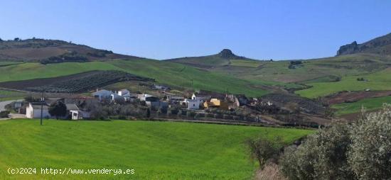  Finca rustica con terreno en Ronda - MALAGA 