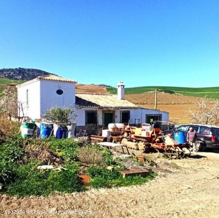 Finca rustica con terreno en Ronda - MALAGA