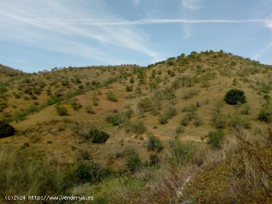 Terreno 80.000m2 con finca de origen - MALAGA