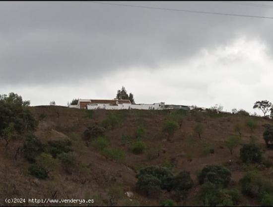 Finca rustica con terreno en Almogia - MALAGA