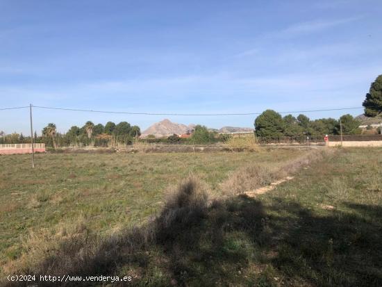  Se Vende Finca Rústica en la Horna Alta - Novelda (Alicante) - ALICANTE 