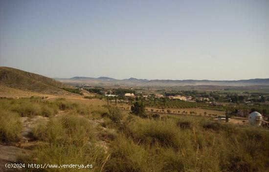  Terreno en Cabezo de la Virgen, Las Virtudes, Villena - ALICANTE 