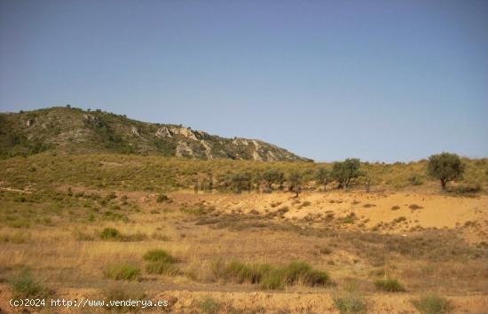 Terreno en Cabezo de la Virgen, Las Virtudes, Villena - ALICANTE