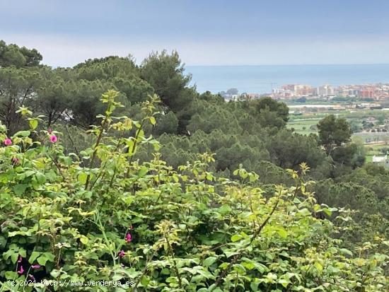 Solar edificable en Santa Susanna - BARCELONA