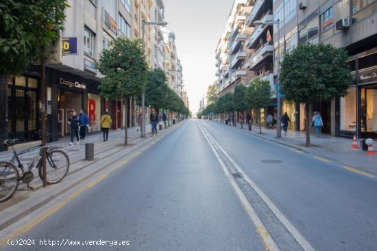  Garaje en Granada, Recogidas - GRANADA 