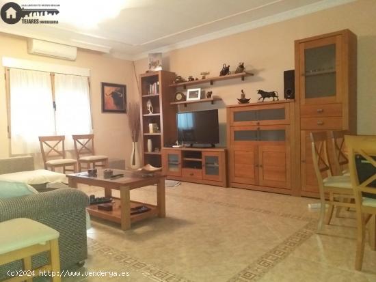 Z021- Inmobiliaria Tejares Vende Casa en La Gineta (Albacete) - ALBACETE