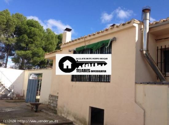 INMOBILIARIA TEJARES VENDE PARCELA EN ZONA LA PULGOSA - ALBACETE