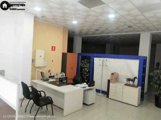 INMOBILIARIA TEJARES ALQUILA LOCAL COMERCIAL-PARQUE SUR - ALBACETE