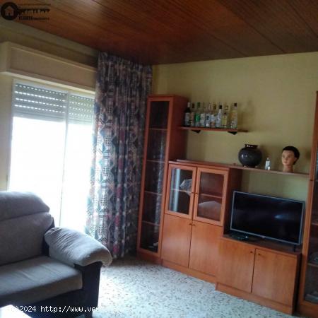 INMOBILIARIA TEJARES 2 VENDE PISO EN BARRIO FRANCISCANOS - ALBACETE