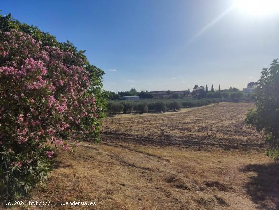  Terreno de 20.000 m2 - CORDOBA 