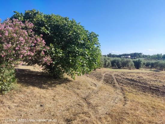 Terreno de 20.000 m2 - CORDOBA