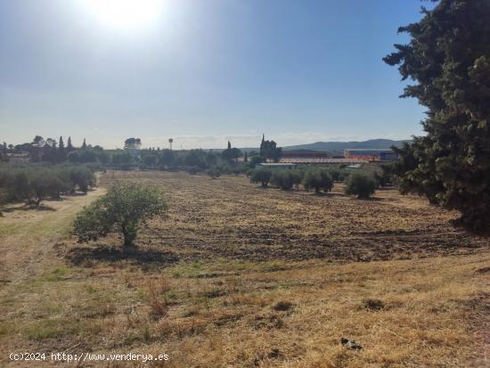 Terreno de 20.000 m2 - CORDOBA