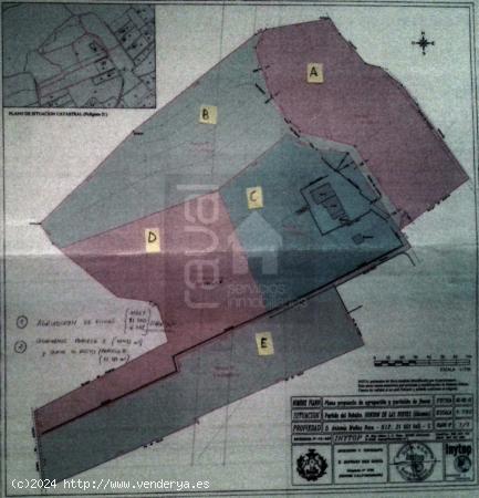  PARCELAS de MAS de 10.000 m2 HONDON DE LAS NIEVES - ALICANTE 