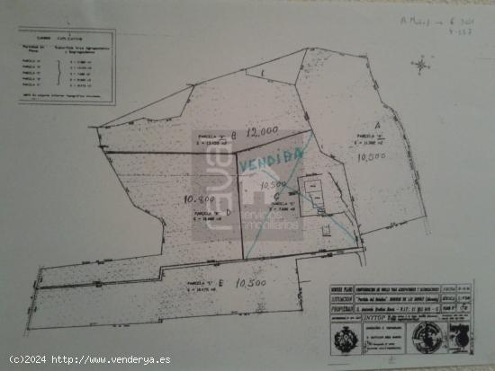 PARCELAS de MAS de 10.000 m2 HONDON DE LAS NIEVES - ALICANTE