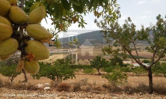  ¡¡¡OPORTUNIDAD!!! PARCELA CON PROYECTO Y LICENCIA DE OBRA - ALICANTE 