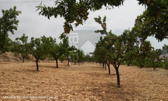 ¡¡¡OPORTUNIDAD!!! PARCELA CON PROYECTO Y LICENCIA DE OBRA - ALICANTE