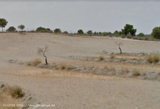 VENTA FINCA EN ZARZILLA DE RAMOS - MURCIA