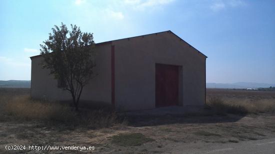 VENTA-ALQUILER FINCA EN LA PACA - MURCIA