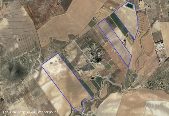 VENTA-ALQUILER FINCA EN LA PACA - MURCIA