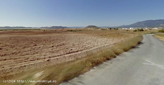 VENTA FINCA CULTIVO EN ZARZILLA DE RAMOS - MURCIA