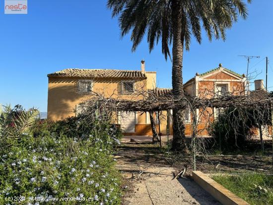  FINCA AGRARIA DE 4,5 HA CON CORTIJO - MURCIA 