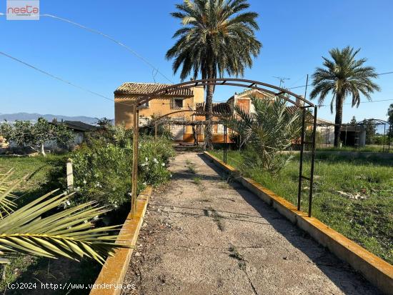 FINCA AGRARIA DE 4,5 HA CON CORTIJO - MURCIA