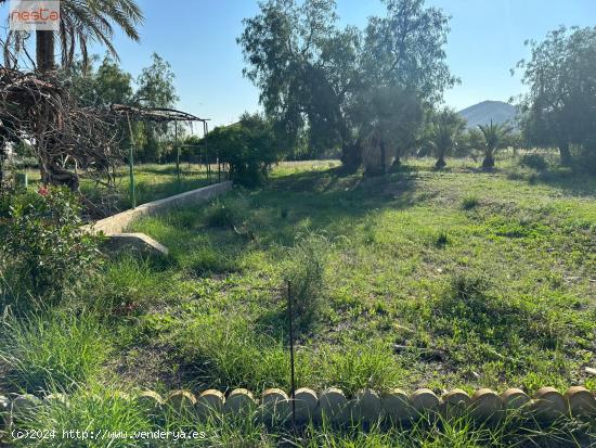 FINCA AGRARIA DE 4,5 HA CON CORTIJO - MURCIA