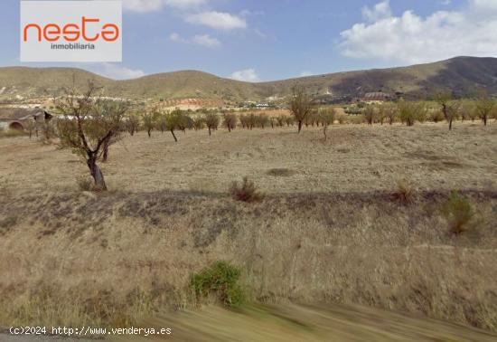  FINCA EN AGUADERAS - MURCIA 