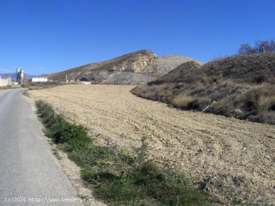 FINCA RÚSTICA EN DIPUTACIÓN DE RÍO - MURCIA