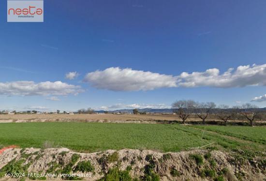 PARCELA PARA CULTIVO Y VIVIENDA EN EL CAMPILLO - MURCIA