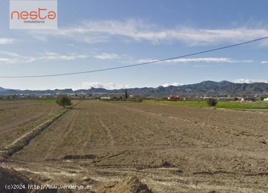 PARCELA PARA CULTIVO Y VIVIENDA EN EL CAMPILLO - MURCIA