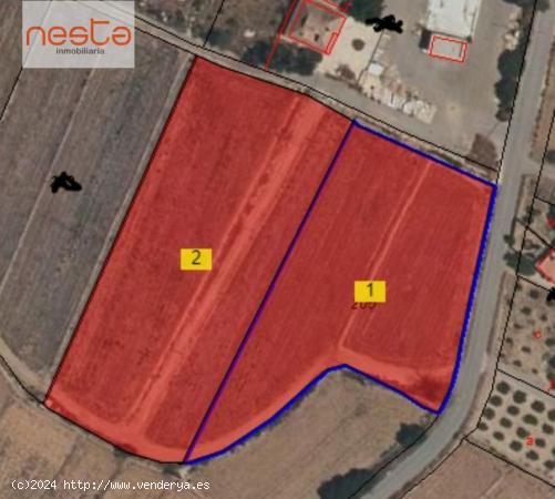 VENTA DE 2 PARCELAS EN CTRA. ALTOBORDO - MURCIA