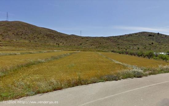  PARCELA EN BARRANCO DE MEDRANO (SIERRA DE CARRASQUILLA) - MURCIA 