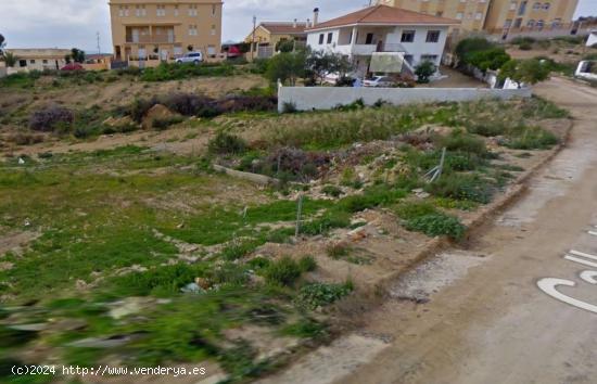 PARCELA PARA CONSTRUIR CHALET EN CALARREONA - MURCIA