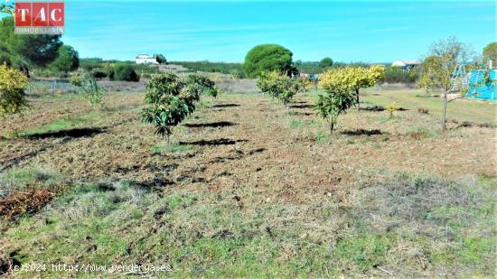 FINCA CON CASA - HUELVA