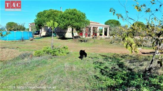 FINCA CON CASA - HUELVA