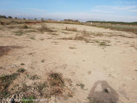  Terreno de 60 000 m2 en Ciudad Quesada - ALICANTE 