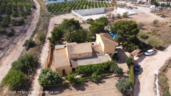 Espectacular chalet con piscina y terreno - ALICANTE