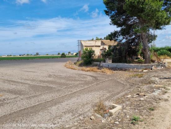 Finca en san Fulgencio - ALICANTE