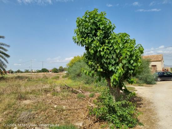 casa para reformar con 7500 m2 de parcela - ALICANTE