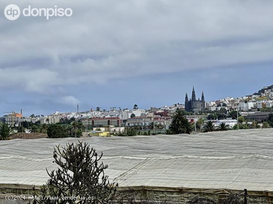 Se vende Finca de Plataneras, en explotación - LAS PALMAS