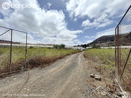 Se vende Finca de Plataneras, en explotación - LAS PALMAS