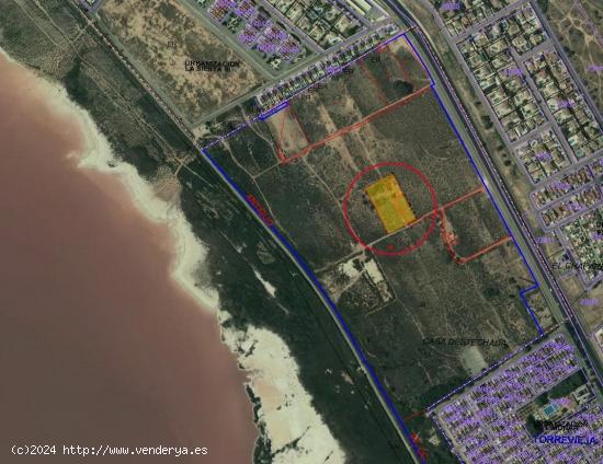  SE VENDE 5000 MTS2 TERRENO EN TORREVIEJA JUNTO A LA CV905 - ALICANTE 