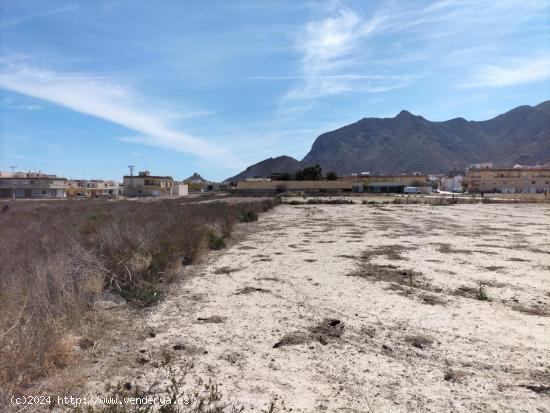 PARCELAS URBANAS EN COX - ALICANTE