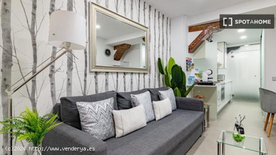 Apartamento entero de 1 habitaciones en Madrid - MADRID