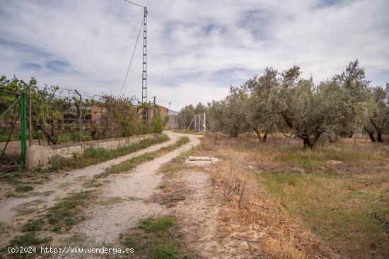 VENTA TERRENO RURAL -- CAMPO GOLF LAS GABIAS - GRANADA